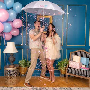 Confetti Umbrella Gender reveal