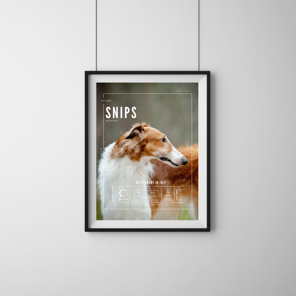 Modern Pet Print, Pet Poster, Pet Stats Sign, Pet Gift, Pet Mom Gift, Personalized, Printable