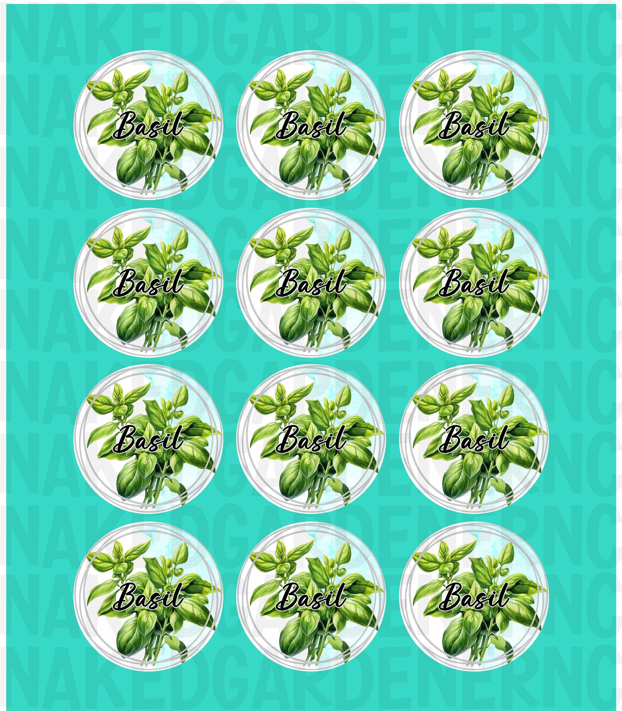 Basil Spice Jar Labels for Regular Mouth Jar or Wide Mouth Jar - Sheet of 12 - Canning Stickers / Labels / Customize