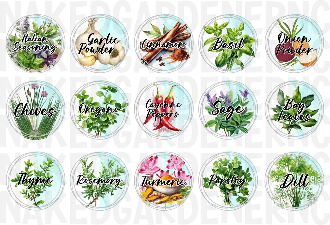 Standard Herb Jar Labels for Lids, Glass, or Plastic SET OF 15 Herb