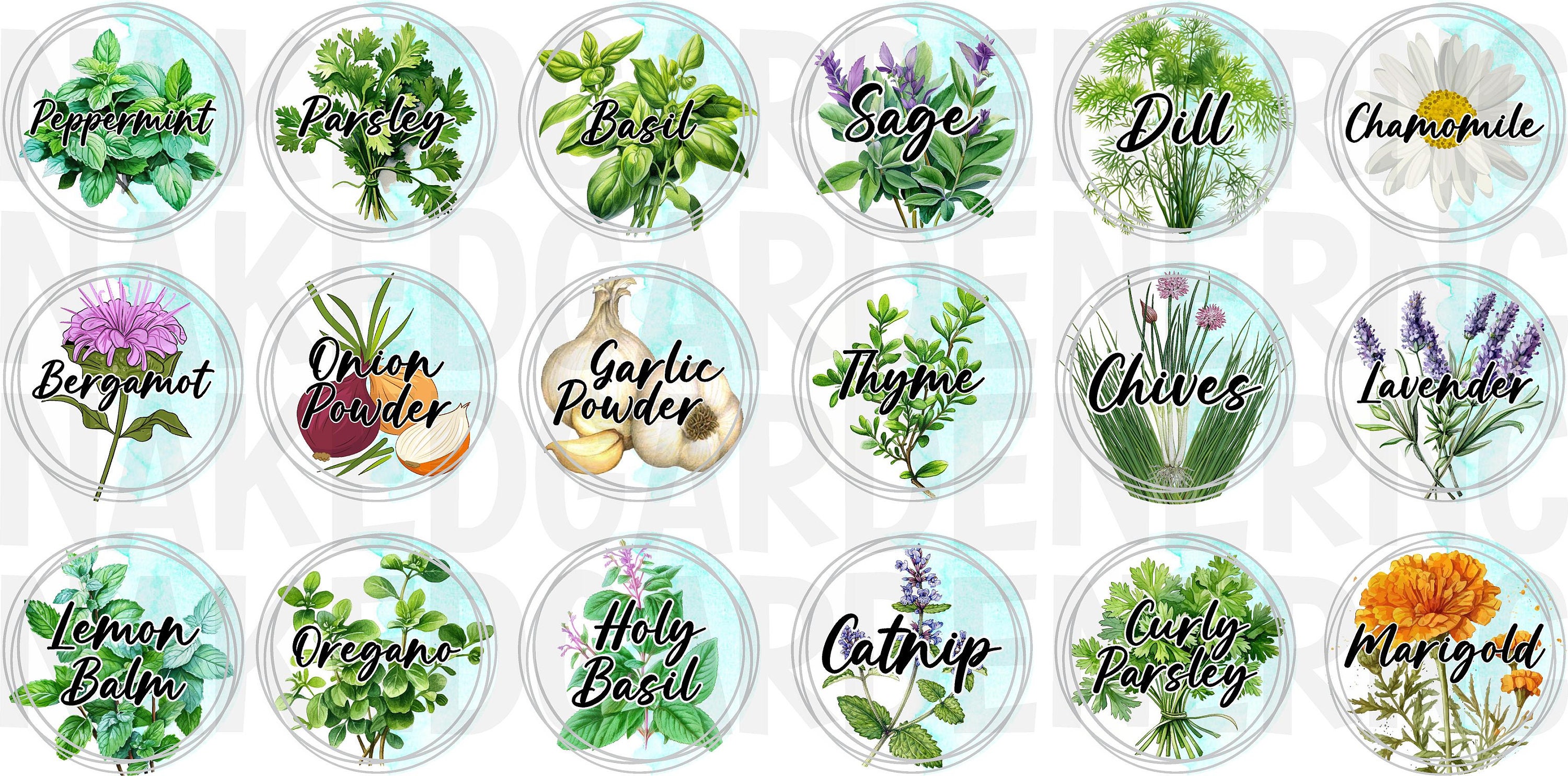 Herb Jar Labels for Lids, Glass, or Plastic Sheet of 18 Mason Jar/ Herb
