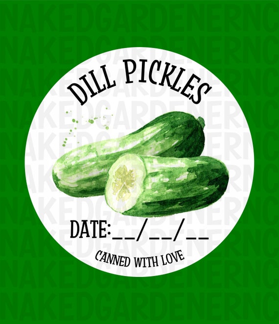 Dill Pickles Canning Labels for Regular Mouth Jar or Wide Mouth Jar - Sheet of 12 - Canning Stickers / Labels / Customize