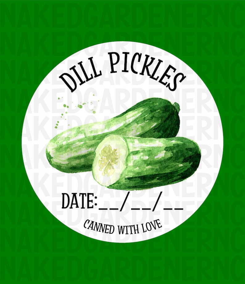 May include: A white circle label with the text "DILL PICKLES" in black lettering. The label also includes the text "DATE:__/__/__" and "CANNED WITH LOVE".  Two green dill pickles are pictured on the label.
