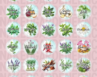 Herb Jar Label BUNDLE for Lids, Glass, or Plastic - Sheet of 30 - Mason Jar/ Herb Jars/ Herb Jar Labels / 3 sizes / Customize / Herbs