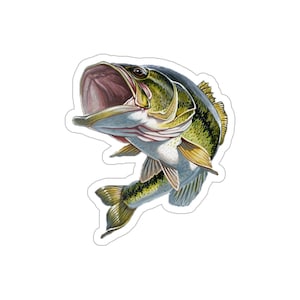 Bass Stanzsticker