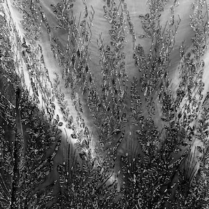 May include: Black and silver glitter fabric with a floral pattern. The fabric has a sheer, delicate texture.