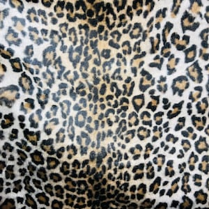 May include: A close-up of a brown, black, and white leopard print fabric. The fabric has a soft, fuzzy texture.