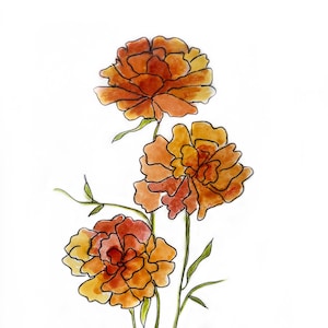 Marigold Watercolor Print