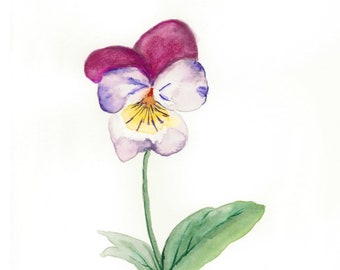 Watercolor Pansy prints bundle