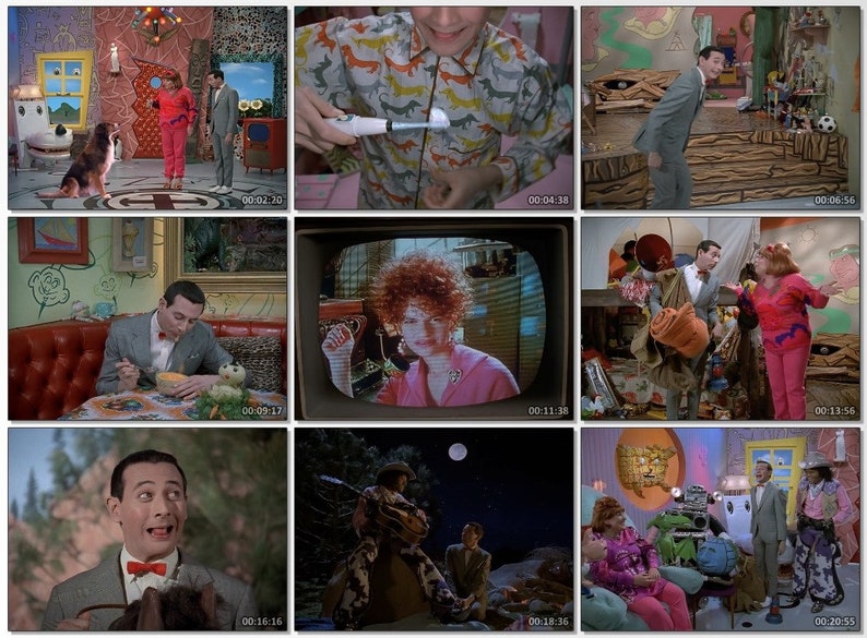 Peewee's Playhouse 1986 1990 Complete Series All 5 Etsy