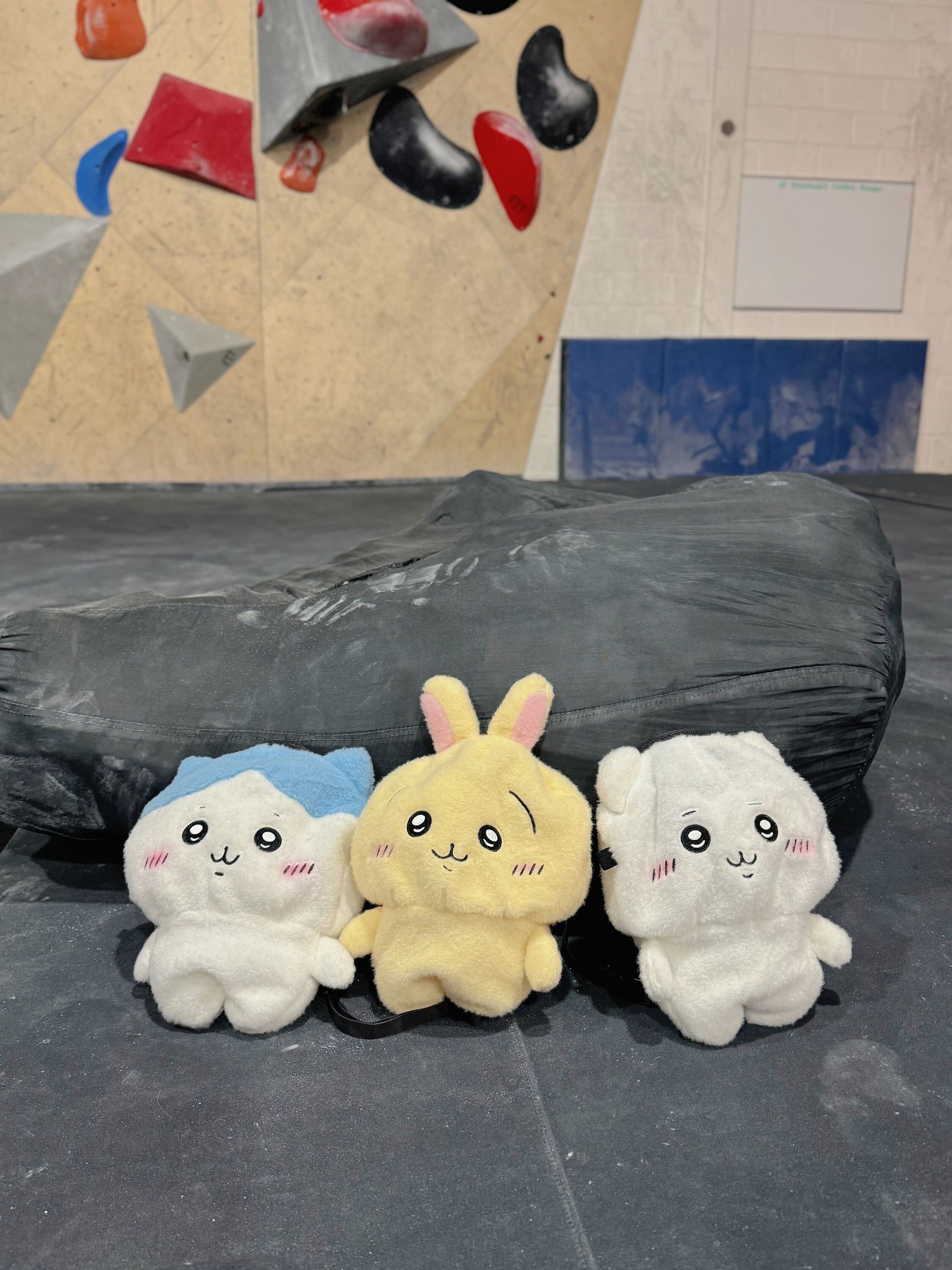 Limited Edition Chiikawa Usagi Hachiware Chalk Bag