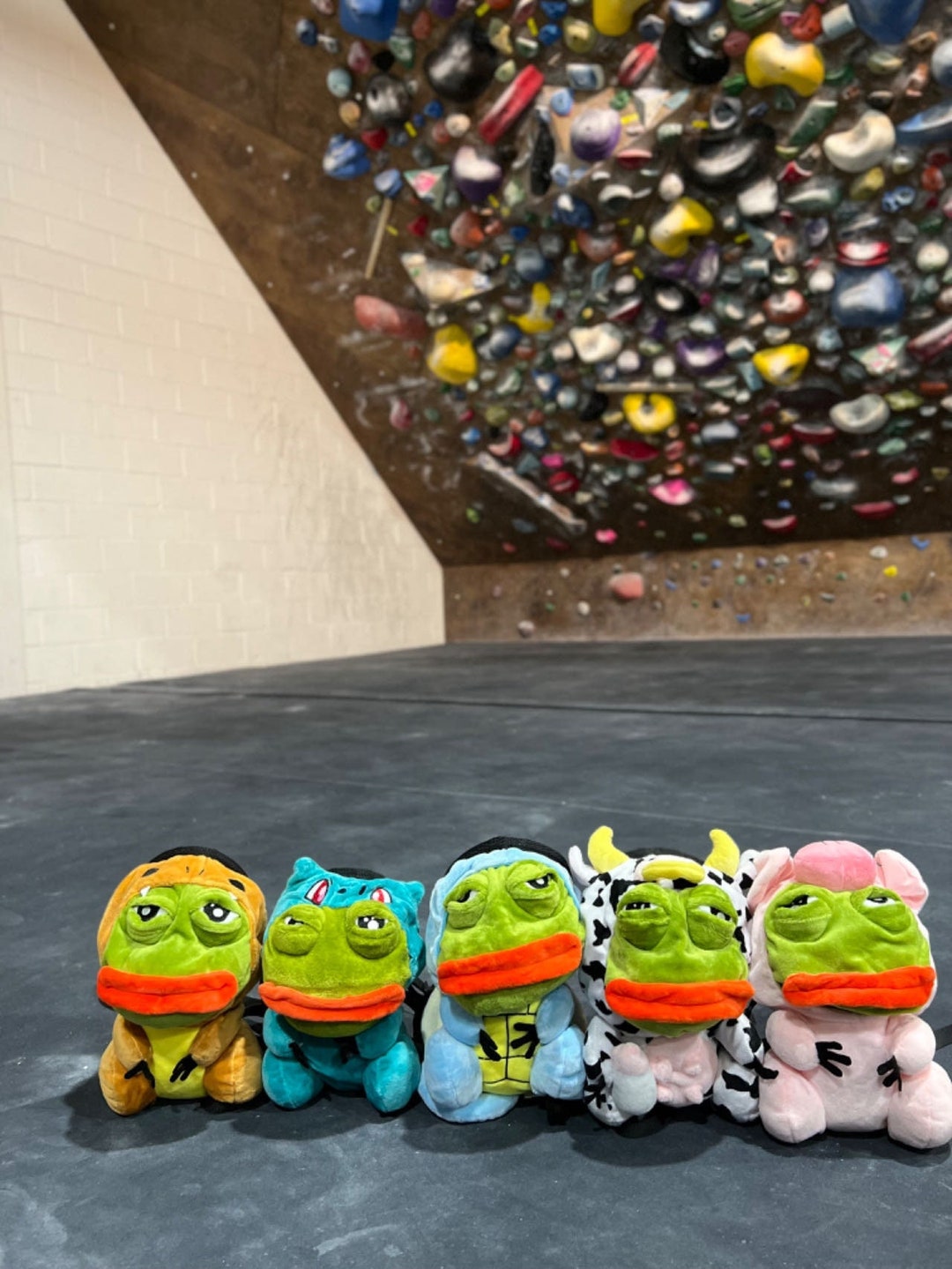 Pepe Frog Chalk Bag Etsy