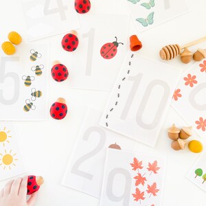 Nature Counting Flash Cards: Toddler Homeschool Printable (Digital Download)