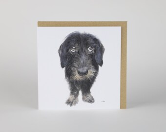 Rough-haired Dachshund. Luxury greeting card, handmade, with craft envelope, blank inside. Pencil portrait. Wildlife Art