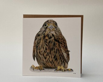 Hawk chick. Luxury greeting card, handmade, with craft envelope, blank inside. Pencil portrait. Wildlife Art