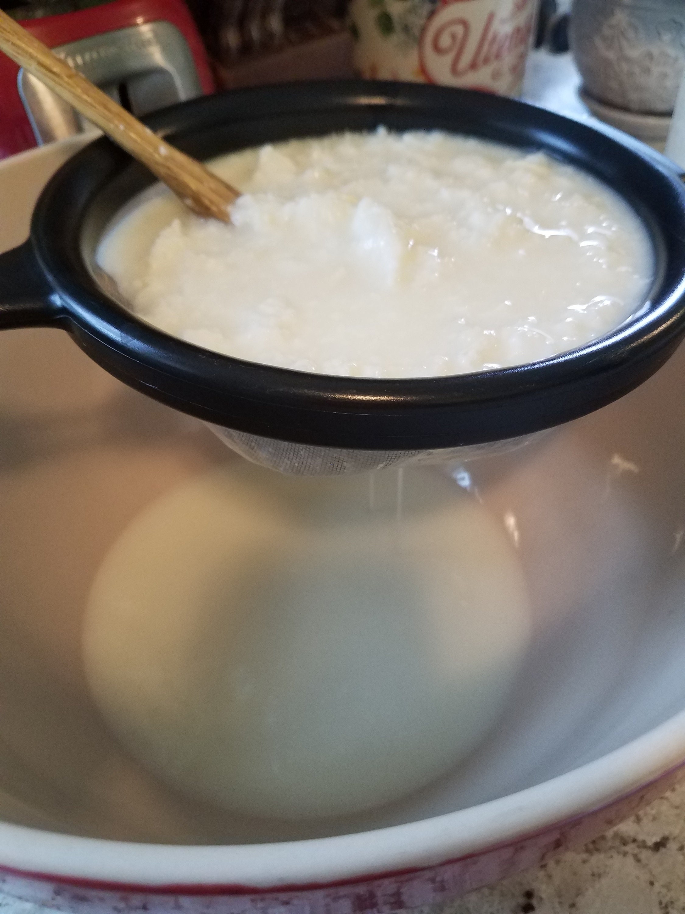 Raw Milk Kefir Grains Etsy