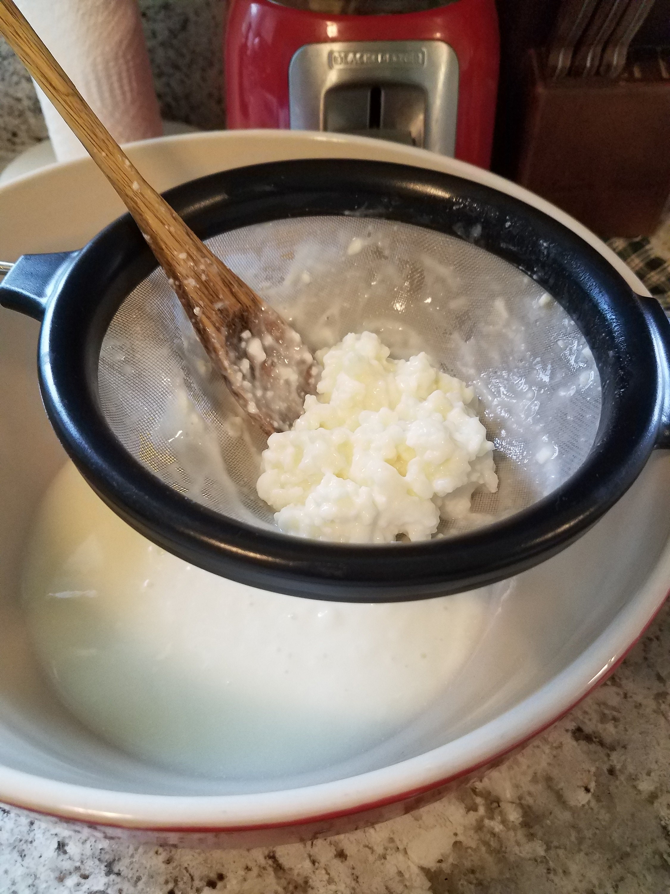 Raw Milk Kefir Grains Etsy