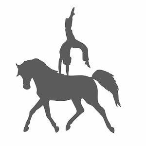 Op de afbeelding: Een silhouet van een persoon die een handstand maakt op de rug van een paard.