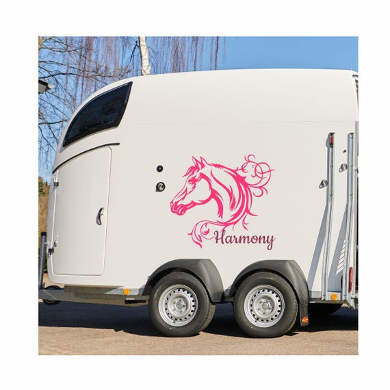 ADESIVI PER AUTO Pferdeaufkleber Cavalli Equitazione Equestre Rimorchio EUR 18,97 - IT
