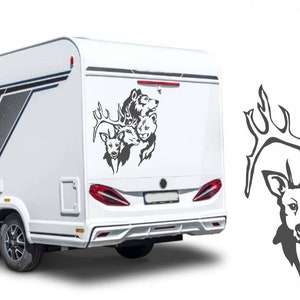 Wild Animals Wilde Tiere Aufkleber Wohnmobil Fahrzeugbeschriftung verschiedene Größen und Farben.