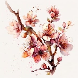 Sakura Watercolor Floral PNG - Delicate Cherry Blossom Design - Ideal for Invitations, Scrapbooking, Crafts & Beautiful Creative Projects!