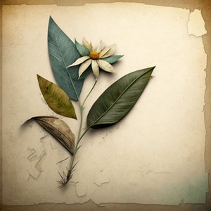 Arte floral abstracto PNG - Diseño floreciente único - ¡Ideal para invitaciones, álbumes de recortes, decoración del hogar y proyectos creativos modernos! Versión 2