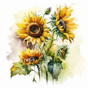 Fleurs aquarelles : tournesol floral à téléchargement numérique pour oeuvres d'art murales, cartes et plus encore - Version 1