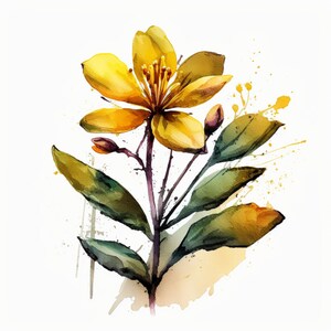Solo Sun-Kissed Yellow Flower Watercolor PNG - Elegant Design for Invitations, Scrapbooking, Crafts & Unique Creative Projects! V4