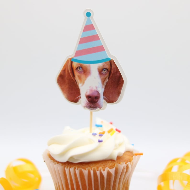 Custom Dog Cupcake Toppers, Personalized Pet Topper, Personalize Dog