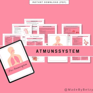 Atmungssystem | Lernzettel Pflegeausbildung | Medizin