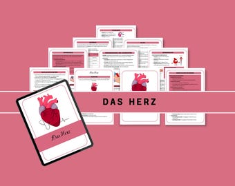 Das Herz | Lernzettel | Pflegeausbildung | Melden | Medizin