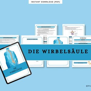 Könnte beinhalten: Ein digitaler Download eines Anatomie-Leitfadens zur menschlichen Wirbelsäule, betitelt "Die Wirbelsäule". Der Leitfaden enthält Illustrationen der Wirbelsäule und Text, der ihre Anatomie und Funktion erklärt.