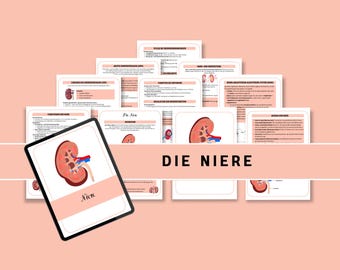Die Niere | Lernzettel Pflege | Ausbildung | Medizin
