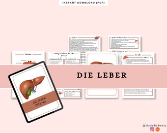 Hepar/Leber Lernzettel Pflegeausbildung | Zusammenfassung | Medizin