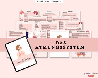 Atmungssystem Lernzettel Pflegetraining | Inhalt | Medizin