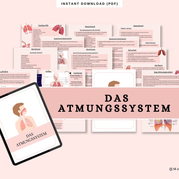 Atmungssystem Lernzettel Pflegeausbildung | Zusammenfassung | Medizin