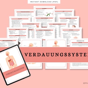 Das Verdauungssystem Lernzettel Pflegeschulung | Inhalt | Medizin