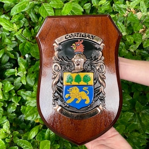 Irish Family Crest Shield Large