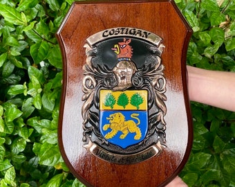 Irish Family Crest Shield Large