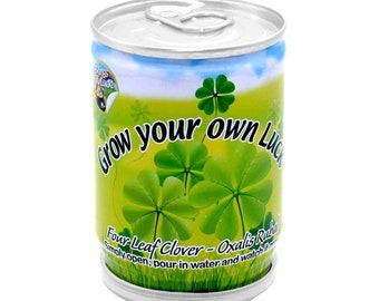 Shamrock Seeds | St.Patrick’s Day