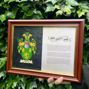 Family Coat Of Arms and Family History Print