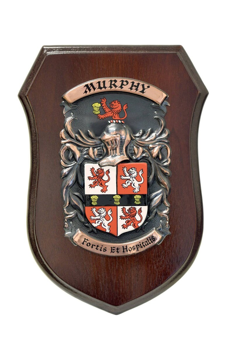 Irish Family Crest Shield Large - Etsy UK