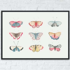 Vintage Butterfly Illustration Art Print, Monarch Butterfly Wall Art, Girls Room Nursery Decor, Boho Printable Art, Digital Nature Poster
