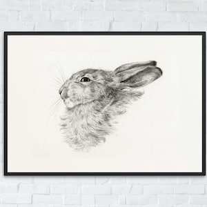 Vintage Bunny Drawing, Printable Rabbit Wall Art, Farmhouse Rabbit Decor, Nursery Bunny Print, Rabbit Sketch Art, Instant Digital Download
