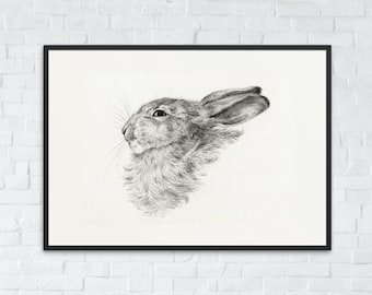 Vintage Bunny Drawing, Printable Rabbit Wall Art, Farmhouse Rabbit Decor, Nursery Bunny Print, Rabbit Sketch Art, Instant Digital Download
