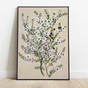 Arte rústico imprimible de flores blancas, ilustración botánica vintage, decoración de habitación infantil de estilo rústico, impresión de pared de estilo francés.