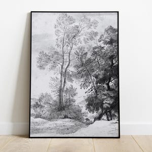 May include: Black and white pencil drawing of a forest scene with tall trees and a path leading into the woods.