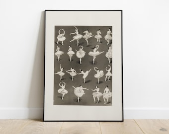 Può includere: Un'illustrazione vintage in bianco e nero di ballerine in varie pose, con tutù bianchi e scarpe da punta. L'illustrazione è incorniciata in una cornice nera.