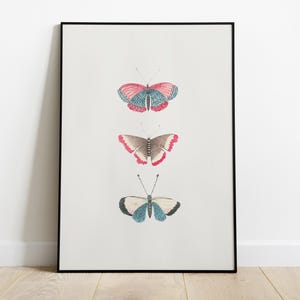 Vintage Butterfly Illustration, Monarch Butterfly Print, Boho Nursery Decor, Printable Wall Art, Digital Nature Poster, Colorful Artwork