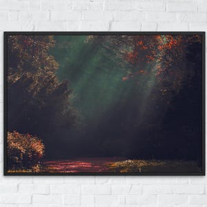 Impresión de paisaje de bosque oscuro, arte mural de naturaleza verde, decoración cottagecore, póster imprimible de bosque oscuro, descarga digital, arte de bosque melancólico